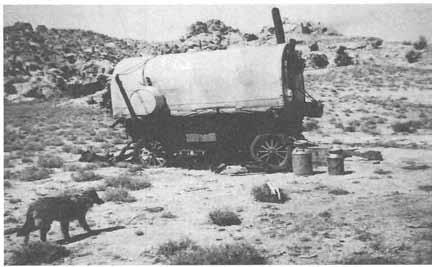 218 HISTORY OF IUAB COUNTY A lonely sheep camp adorns the wide open spaces at Callao, 1939.