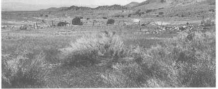 EXPLORATION AND EARLY SETTLEMENT 47 Site of loy. (Utah State Historical Society) could be used to irrigate their crops.