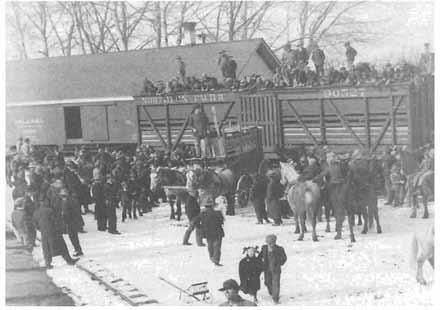 74 HISTORY OF IUAB COUNTY A shipment of elk, from Wyoming, unloaded in Nephi, March 1913.