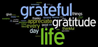 Practice with an Attitude of Gratitude Practice is a privilege: Very few of our human ancestral