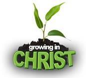 Sermon Series for the Autumn in SJ & SP - Growing in Christ (this series aims to suggest approaches to being a sustainable, growing church) 4 th October: Harvest Festival What does harvesting mean