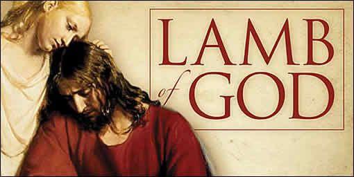 .. $14,270.50 Loose... $2,000.15 Other Fees... $240.00 Total... $16,510.65 THE LAMB OF GOD Behold the Lamb of God!