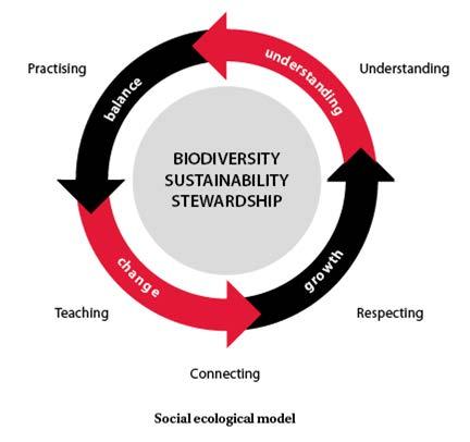 Social Ecological Model From Staying the course, staying alive This model was designed by Brown and Brown (2009, p.