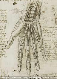 Growing Knowledge!!!! During the Renaissance medical knowledge grew, particularly in anatomy and surgery.