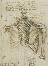 Understanding Anatomy During the Renaissance, dissection was made legal for the purposes of study in many Italian cities Andreas Vesalius, a professor would dissect