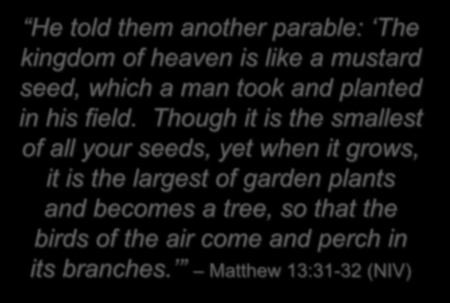 He told them another parable: The kingdom of heaven is like a mustard seed, which a man took and planted in his field.