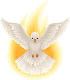 HOLY SPIRIT Spirit of wisdom and understanding, enlighten our minds to perceive the mysteries of the universe in relation to eternity.