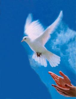 LITANY OF THE HOLY SPIRIT Lord,...have mercy on us. Christ,...have mercy on us. Lord,...have mercy on us. Father all powerful,...have mercy on us. Jesus, Eternal Son of the Father, Redeemer of the world,.