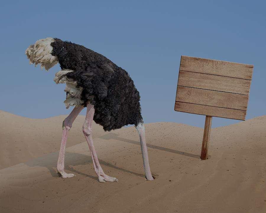 The Ostrich Syndrome* There is a principle which is a bar against all information, which is proof against all argument, and which cannot fail to
