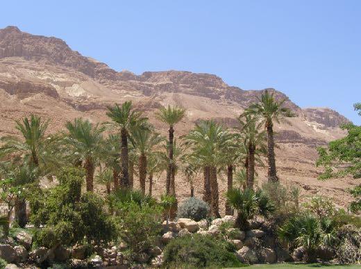 Bella (Zoar) The City spared for Lot s sake The City of Bella was an ancient Oasis along the Dead Sea.