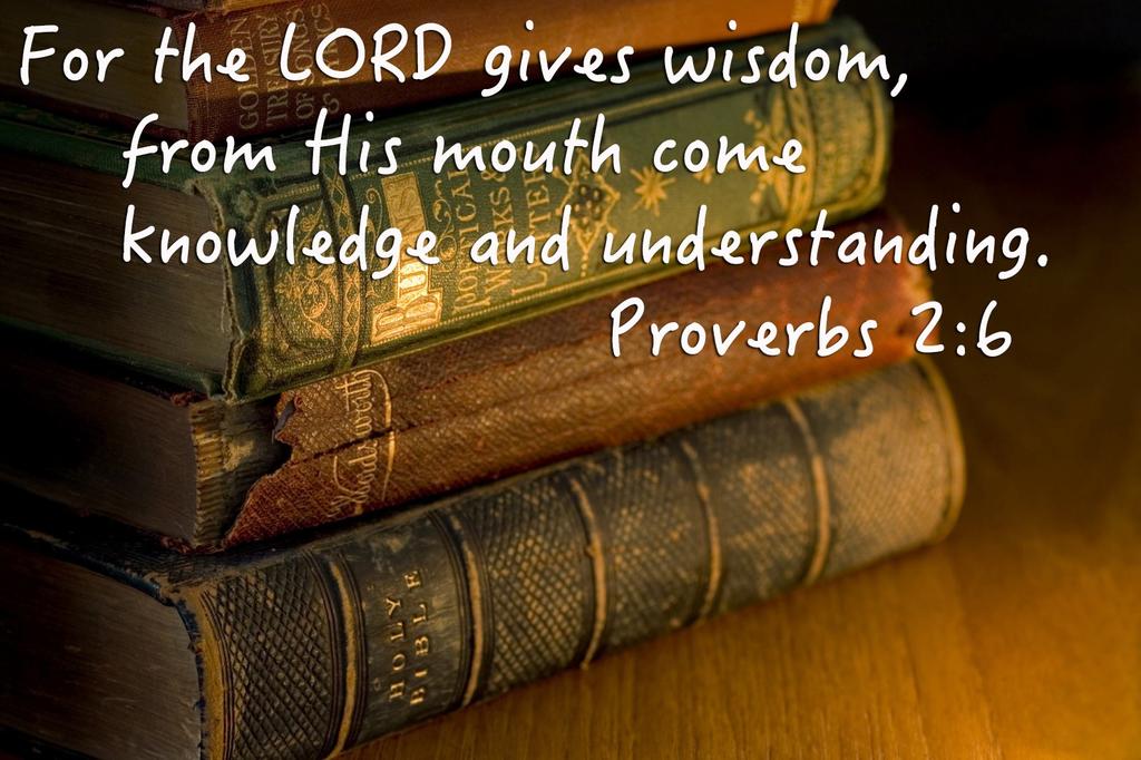 A Week Of Wisdom Reading The Wisdom Books This Week The Wisdom Books are the final group of books we ll be looking at from the Old Testament.