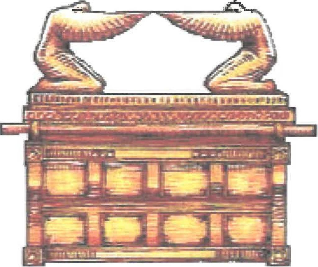 0 0 0 0 The Ark of the Covenant was situated in the Holy of Holies. On the lid ofit, also called the "mercy seat," were two golden angels ( cherubim) with their wings extended toward each other.