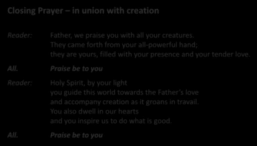 Closing Prayer in union with creation Reader: All. Reader: All. Father, we praise you with all your creatures.
