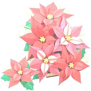 Page 3 Christmas Memorials and Thanksgivings Remember friends and loved ones this holiday season by purchasing a poinsettia for the church or by giving to the Rector's Discretionary Fund.