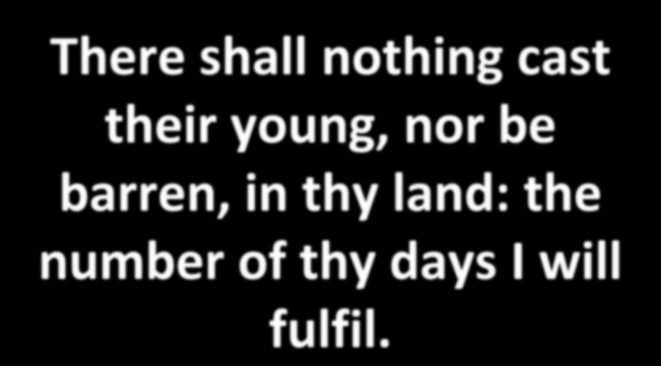 There shall nothing cast their young, nor be