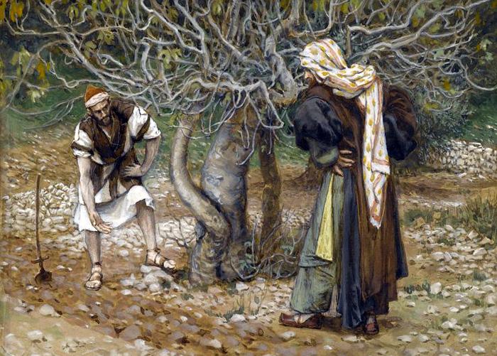 Day 28 - April 6 Mark 11:12-25 12 The next day as they were leaving Bethany, Jesus was hungry. 13 Seeing in the distance a fig tree in leaf, he went to find out if it had any fruit.