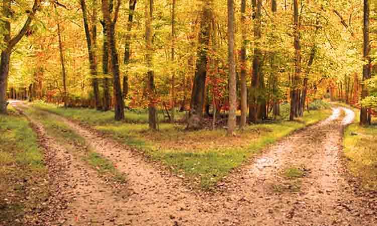 Two roads diverged in a yellow wood, And sorry I could not travel both And be one