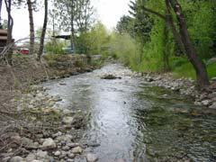 Basin, Decker Lake, and countywide stormwater) - Facilitated a metals removal project in Alta - Organized and facilitated the Jordan River Watershed Council