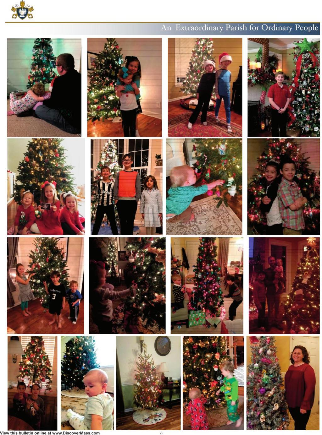O Christmas tree,
