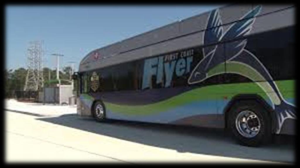 The STARS are planning a JTA Bus ride to Jax Beach