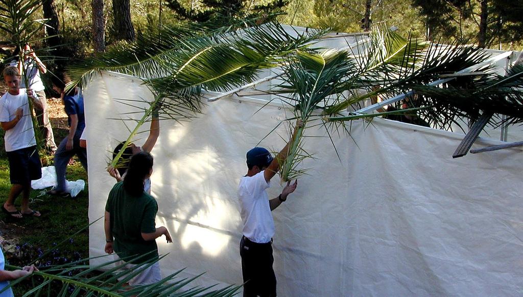 The Joy of Unity How good and pleasant it is when God s people live together in unity! Psalm 133:1 Like anything in Judaism, Sukkot comes with many customs and rules.