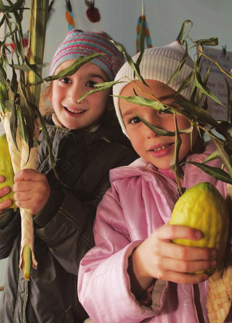 Once the sukkah is built, it is customary to decorate it as beautifully as possible, which displays our enthusiasm for this biblical commandment.