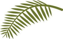 Page 7 PALM SUNDAY, APRIL 9 TH All children are invited to meet Pam in the library just before the 11:00 a.m. worship service to process in with Palm Fronds.