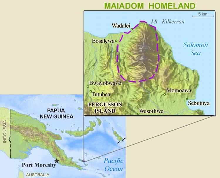 People and Language Detail Report Profile Year: 2006 Language Name: Maiadomu ISO Language Code: mzz Found on the Northeastern shore of Fergusson Island of Papua New Guinea in the shadow of Mt.