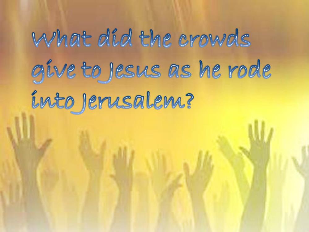 They gave their shouts of Hosanna The crowds had gone to Jerusalem to celebrate, to