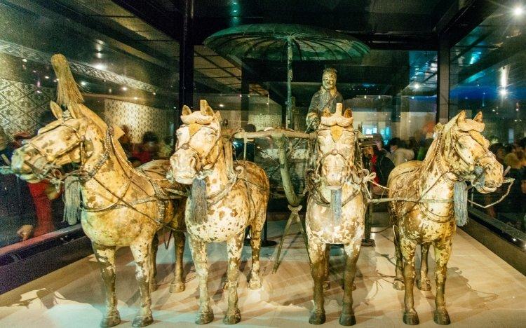 Tour the highlights of Xi'an, including the Terracotta Warriors and Horses Museum- the astonishing site where thousands of steadfast warriors, along with their warhorses, guard the tomb of China's