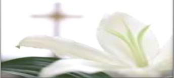 ORDER FORM Must be Submitted TODAY 3/20/16 If you would like to order Easter Lilies, please complete the form below and give to any member of the Hospitality Team. Thank you.
