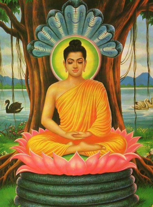 What Buddha taught (The Noble Eightfold Path): Right Livelihood monk Right Mindfulness meditation Right