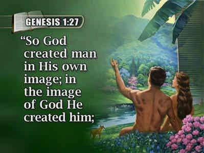 Genesis 1:31 The sixth day-the day God made animals, and then His crowning creation of all man human beings.