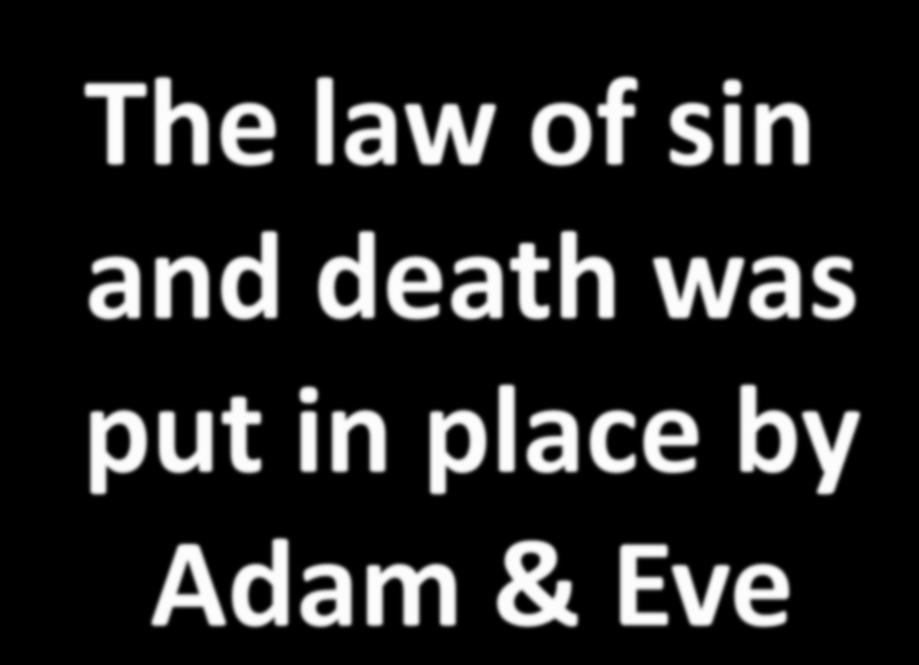 The law of sin and death