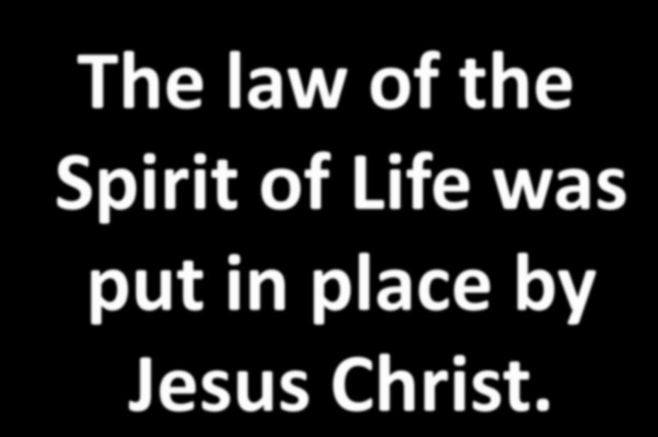 The law of the Spirit of Life
