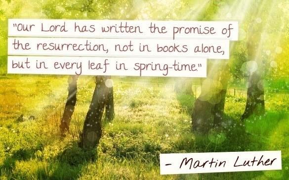 Senior Warden Dear Parishioners, For us Christians because of Jesus, death is never the final word. Instead it is promise for a new beginning. Spring is a time of new birth and renewal.