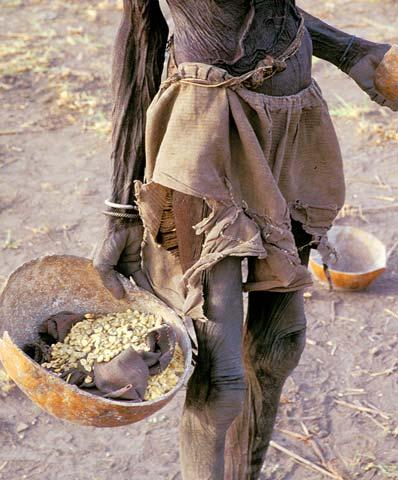 2. FAMINE There will be food shortages. MARK 13:8. A man seeks refuge in the village of Quaratadji, Niger.