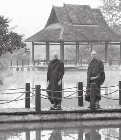 From Cittaviveka: Chithurst Buddhist Monastery In late April through early May in 2012, Ajahn Viradhammo and Ajahn