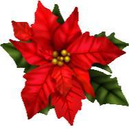 Poinsettias and Greens Forms are included in Sunday bulletins beginning with the first Sunday of Advent for you to contribute toward poinsettias, trees, and greens, with which to decorate