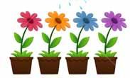 Epiphany Plant Sale 2019 We will be having our plant sale again this year. Please return your order form to the office no later than Monday, April 15th after Mass.