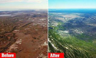 Land which looks dead and barren will suddenly burst into colour after the life giving waters flow into it. We ve seen this in Australia, haven t we?