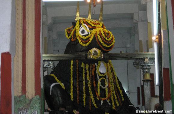 5. Bull Temple The Bull temple of Bangalore is dedicated to Nandi Bull, the vahana (vehicle) of Lord Shiva.