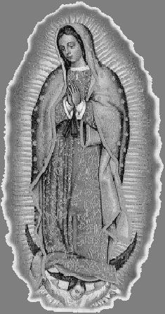 SOCIETY OF OUR LADY OF GUADALUPE The mission of our Society is to increase devotion to Our Lady of Guadalupe and protect the unborn child.