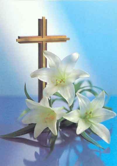 Liturgy. Details to follow. Easter Lilies are donated to the glory of God by Dr.