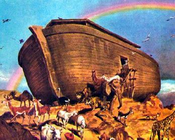 A New beginning The ark had served its purpose: kept life alive through the flood. Life ready to re-inhabit the earth.