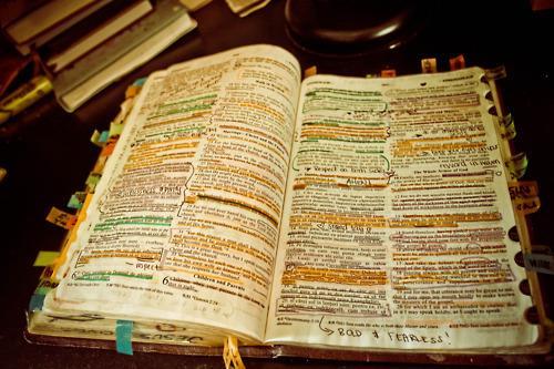 How to Study the Bible Book by Book A Guided