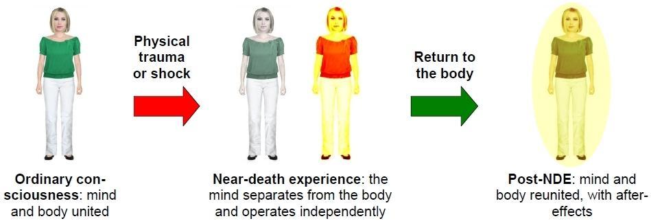 A model of near-death experience relating mind and physical body The locus of consciousness appears to separate from and operate independent of the brain Particular position