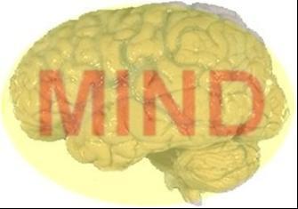 A theory of the mind and brain 3.