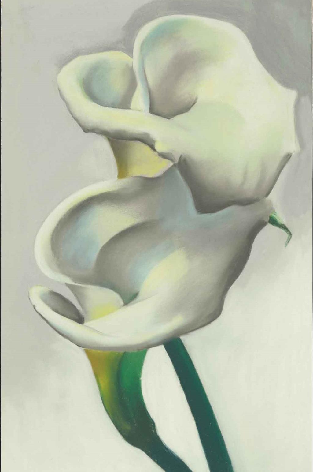 Georgia O Keefe, Two Calla Lilies Together, 1923 In the 1st reading of Acts we hear that Jesus was put to death, but that God raised him on the third day allowing him to appear not to everyone - but
