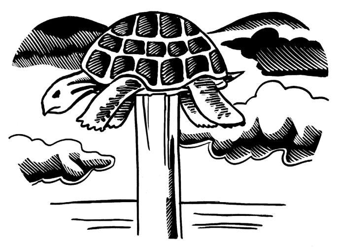 A Turtle on a Fence Post Chapter 8 Audio lesson: New Testament 8 Objective: To further examine the beatitudes and to discuss four pictures Jesus used to describe His followers.